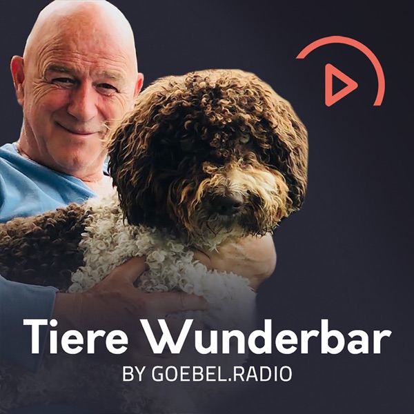 Tiere Wunderbar