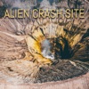 Alien Crash Site artwork