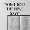 What Does the Bible Say? artwork