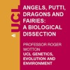 Angels, Putti, Dragons and Fairies: A Biological Dissection - Audio artwork