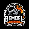 BembelBros - Frankfurter Eishockeytalk artwork