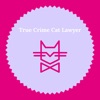 True Crime Cat Lawyer artwork