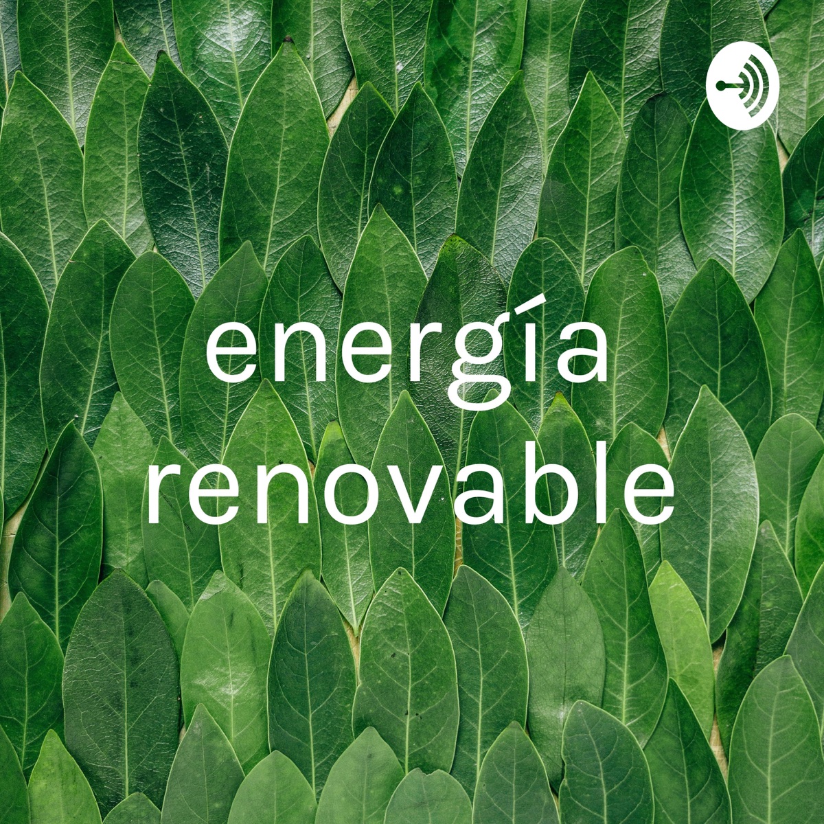 Energia Solar / Políticas de incentivo – Descomplicando as Energias  Renováveis – Podcast – Podtail