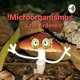 Microorganismos A Tus Órdenes