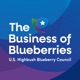 The Business of Blueberries