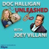 Doc Halligan Unleashed with Joey Villani artwork