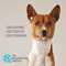 The Balanced Dog Podcastâ„¢