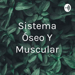 Sistema Óseo Y Muscular