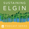 Sustaining Elgin artwork