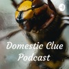 Domestic Clue Podcast  artwork