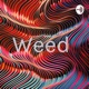 Weed