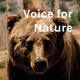Voice for Nature