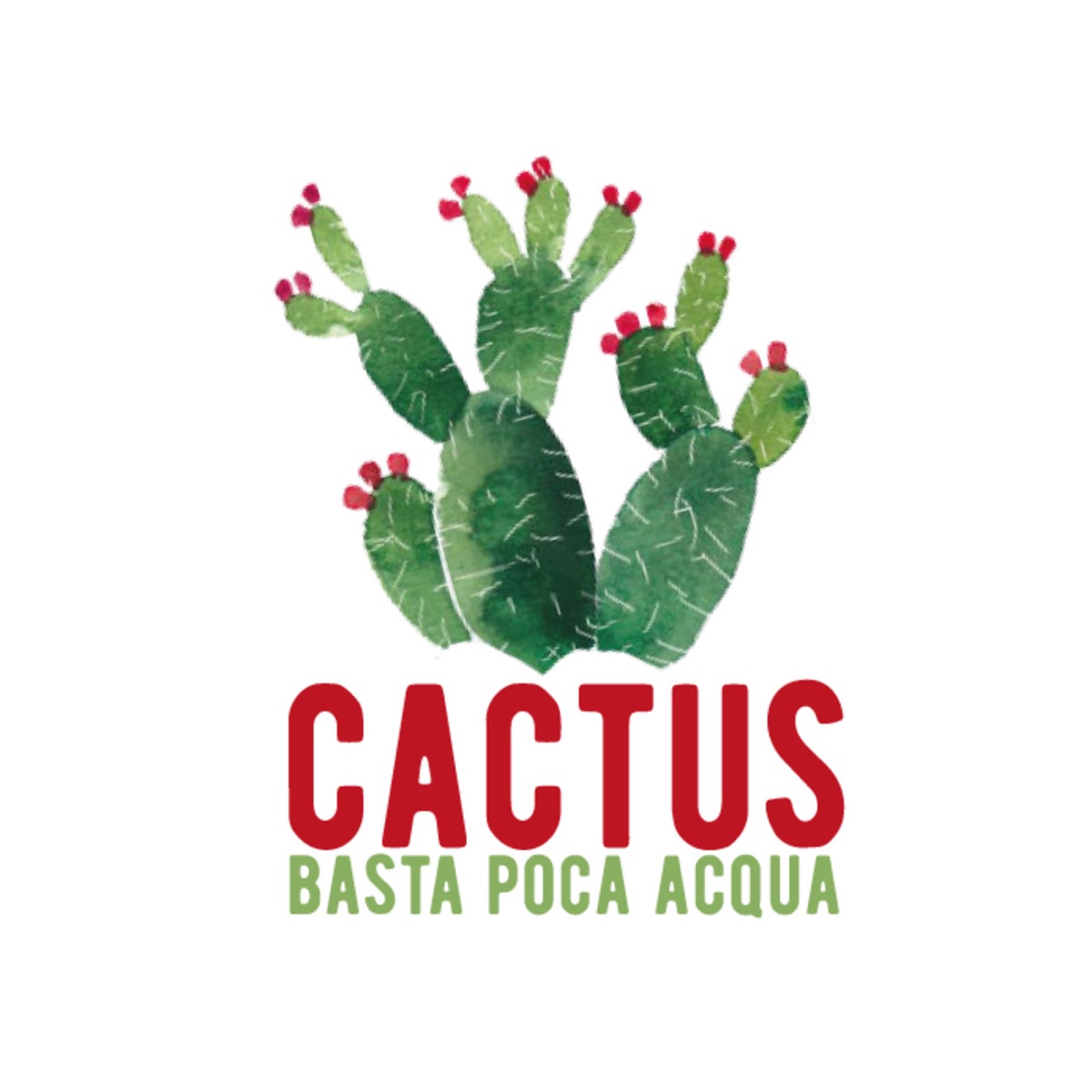 Cactus – Podcast – Podtail
