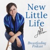 New Little Life Podcast artwork