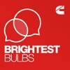 Brightest Bulbs artwork