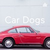 Car Dogs  artwork