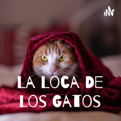 Los gatos y su relación con los egipcios