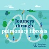 Journeys through pulmonary fibrosis artwork