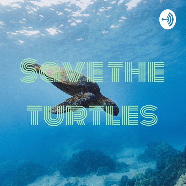 Save the turtles Artwork
