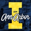 I Am Ann Arbor artwork