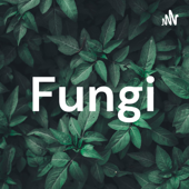 Fungi - Amaya