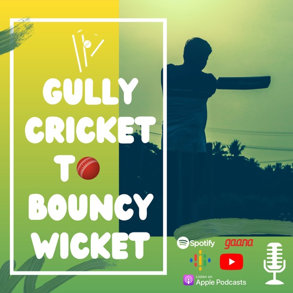 Gully Cricket to Bouncy Wicket Artwork