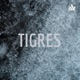 LOS TIGRES