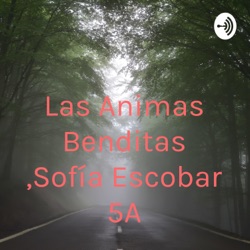 Las Animas Benditas ,Sofía Escobar 5A