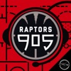 Raptors 905 artwork