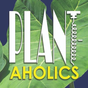 Plantaholics Podcast