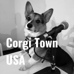 Corgi Town USA