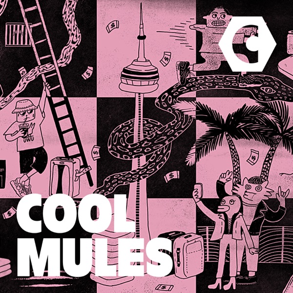 Cool Mules image