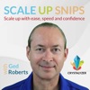 Scale Up Snips - Scale Up with Speed, Ease and Confidence  artwork