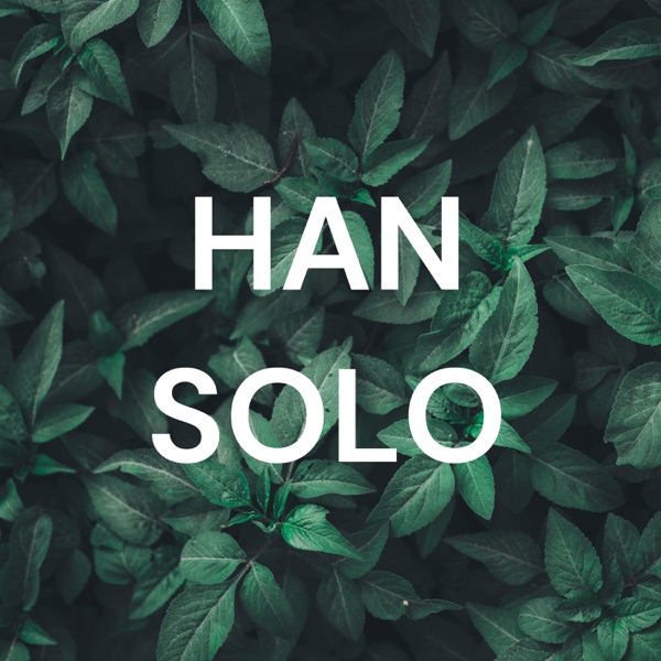 HAN SOLO Artwork