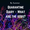 Quarantine Diary-What are the odds? artwork