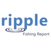 Ripple Fishing Report artwork