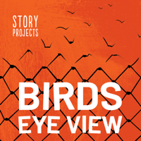 BIRDS EYE VIEW podcast