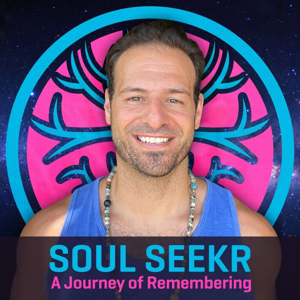 Soul Seekr Artwork