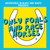 Only Foals and Racehorses artwork