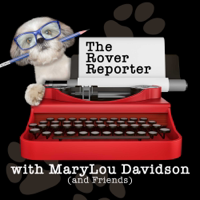 The Rover Reporter podcast