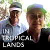 In Tropical Lands: Conversations with Iain Sinclair about The Gold Machine artwork