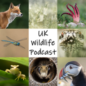 UK Wildlife Podcast - Neil Phillips + Victoria Hillman
