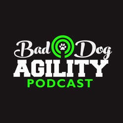 335: Getting an Adult Dog for Agility