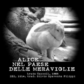 Alice nel paese delle meraviglie - Libro - Alidaria