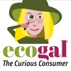 Ecogal the curious consumer artwork