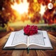 Quran Study Weekly