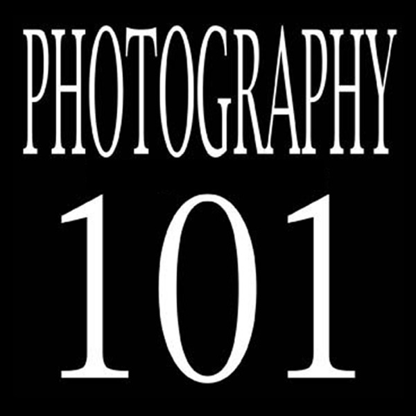 PHOTOGRAPHY 101 Artwork