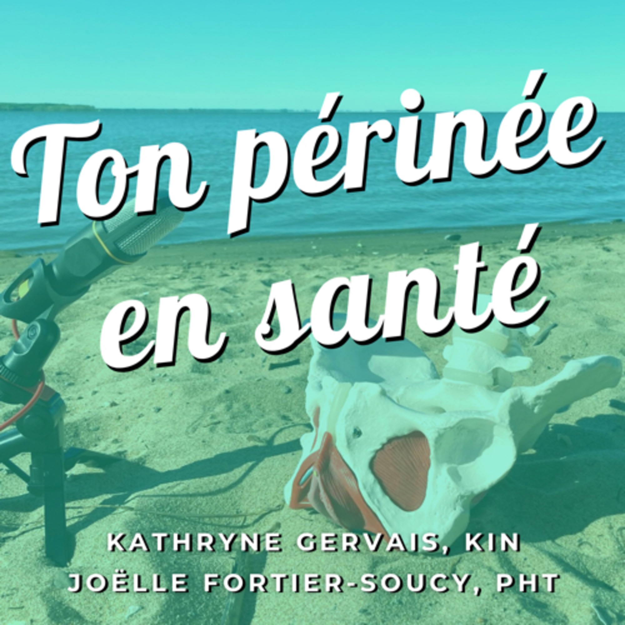 Épisode 40 Les grades de déchirure périnéale Ton périnée en santé Podcast Podtail