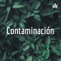 Contaminación