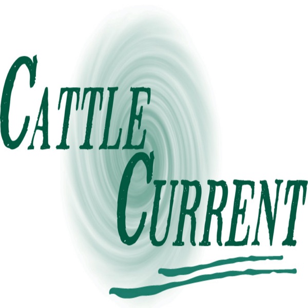 Cattle Current Market Update with Wes Ishmael Artwork